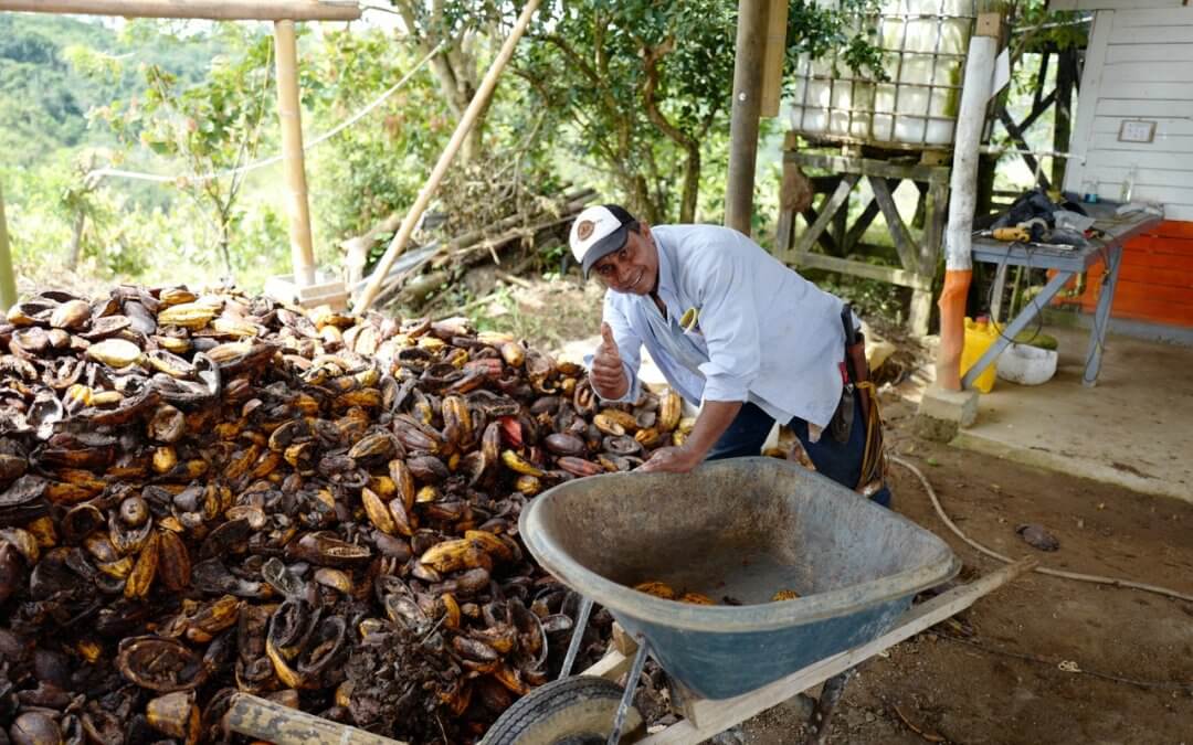 Our Innovation: Cacao Pod Husk Recycling